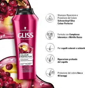 شامپو گلیس مدل Gliss Color Perfector & Shine