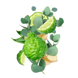 شامپو بدن استونیش مدل Green Earth
