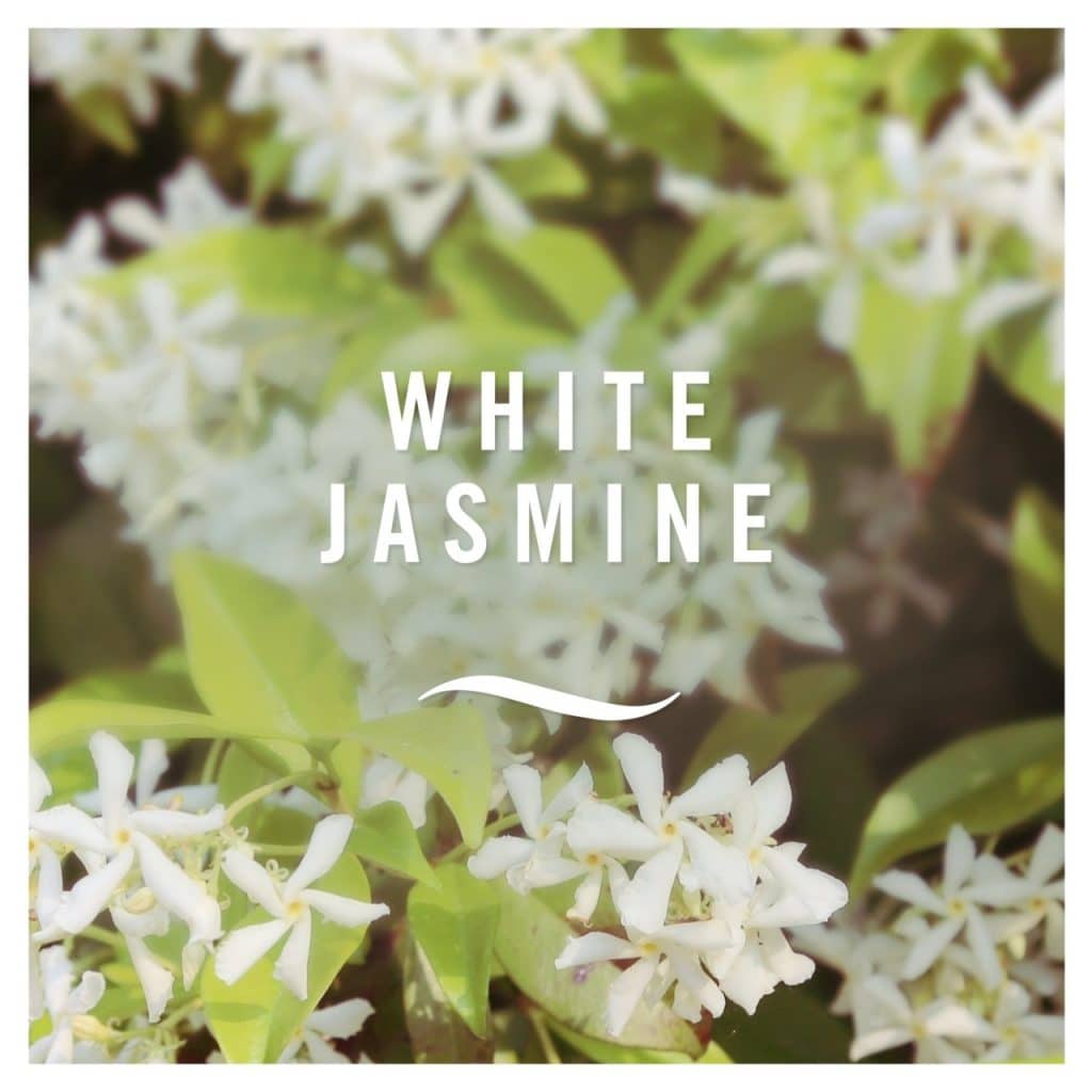 اسپری خوشبو کننده هوا فبرز Febreze مدل White Jasmine حجم 300 میل