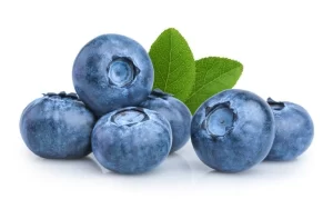 شامپو بچه ناتروفی سر و بدن رایحه بلوبری و آلوئه ورا