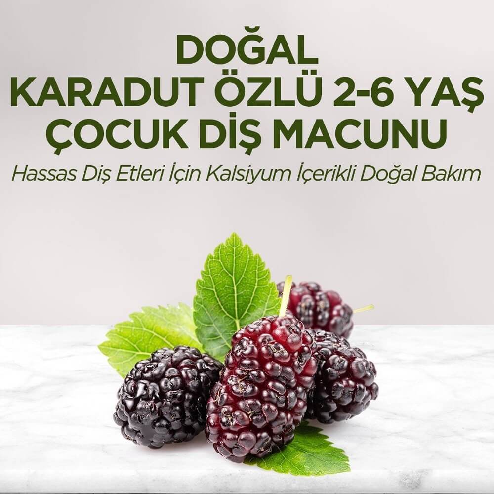 خمیردندان بچگانه ایوب صبری Eyup Sabri رایحه تمشک
