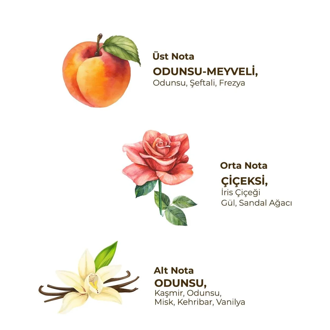 مام رولی زنانه بدون آلومینیوم ایوب صبری Eyup Sabri رایحه Soft