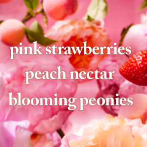 بادی اسپلش بث اند بادی رایحه gingham Gorgeous