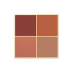 پالت سایه 4 رنگ گلدن رز رنگ 05 Red Brick