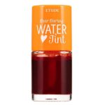 تینت لب و گونه اتود هاوس رنگ نارنجی