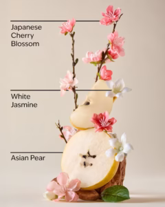 لوسیون بدن بث اند بادی رایحه japanese cherry blossom