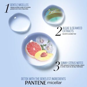 شامپو میسلار پنتن حاوی جلبک دریایی