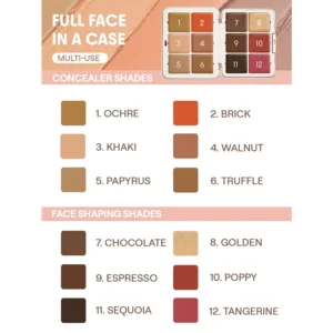 پالت رنگدانه شیگلم رنگ Mocga sculpt